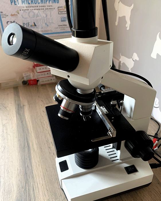 The microscope in the Milan clinic room